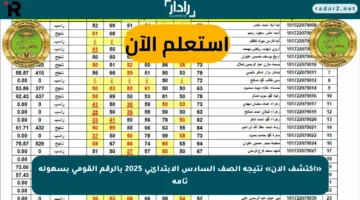 «اكتشف الآن» نتيجة الصف السادس الابتدائي 2025 بالرقم القومي بسهولة تامة